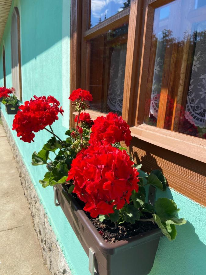 Myslivna Holiday home *